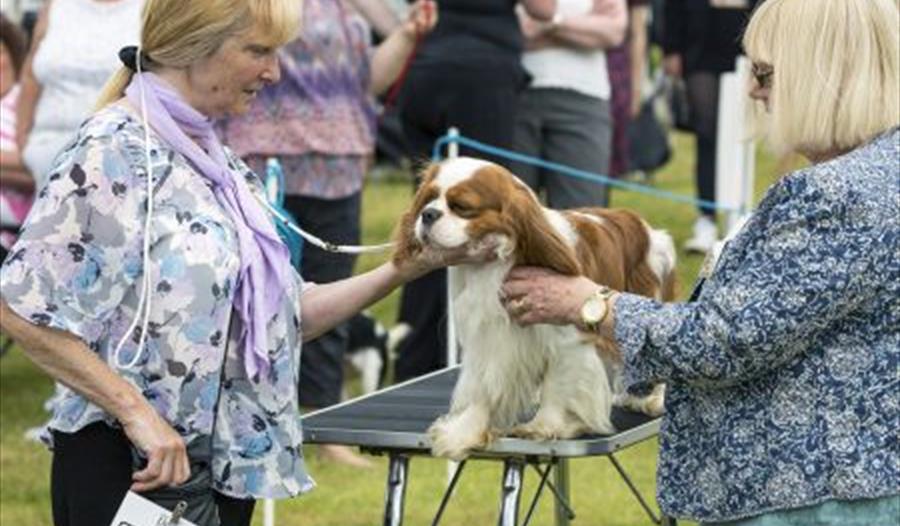 Devon County Show Visit South Devon