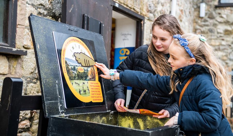 Girls enjoy Golden Carrot Hunt at The Donkey Sanctuary