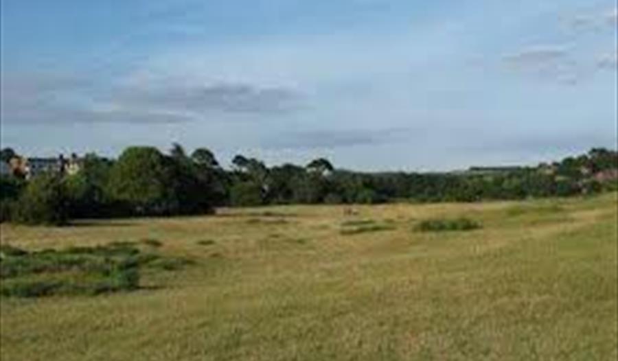 The Maer Local Nature Reserve