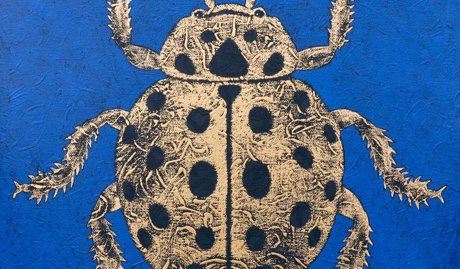 The Twenty-Two Spot ladybird