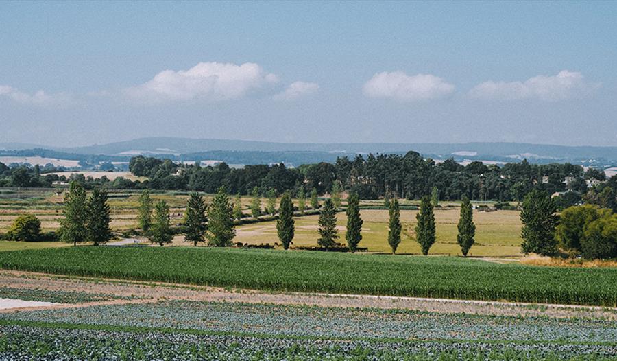 Darts Farm shopping village in Topsham, Devon, a farm-based retail and dining destination.