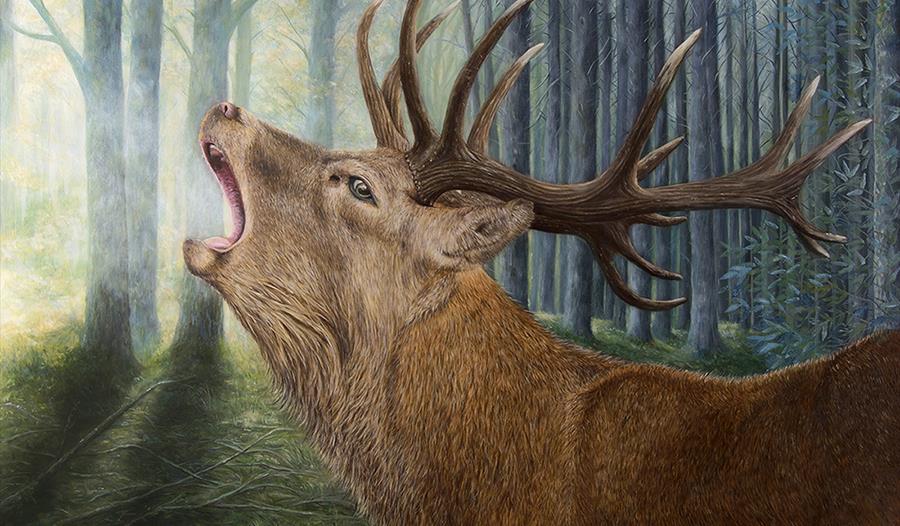 'Out Of The Shadows' Original oil painting