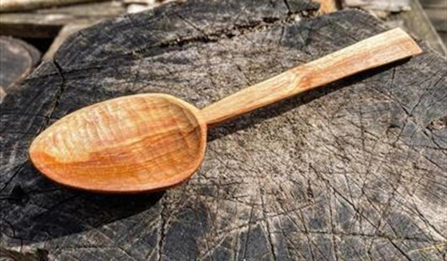 Spoon carving at Seaton Wetlands