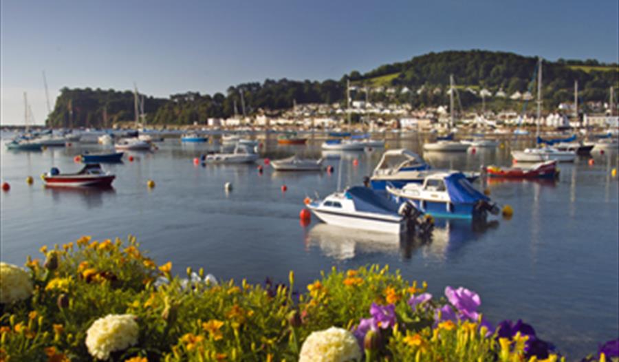 Shaldon Harbour