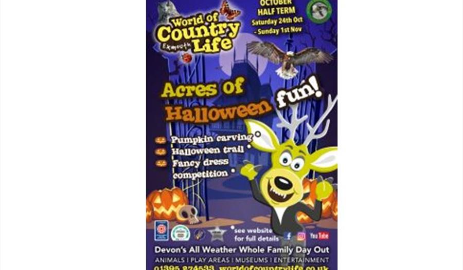 World of Countrylife