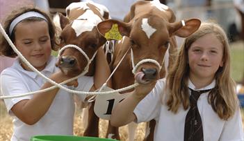 Totnes and District Agricultural Show