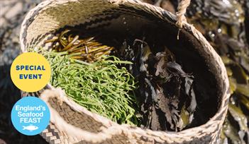 Coast to Caves event, part of England's Seafood FEAST. A basket of freshly foraged seaweed sits on a beach.