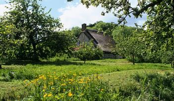 Branscombe Countryside