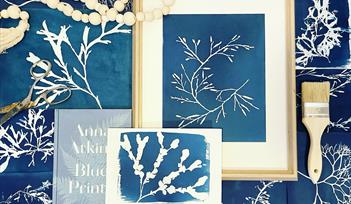 Seaweed Cyanotype Workshop with The Devon Seaweed Company