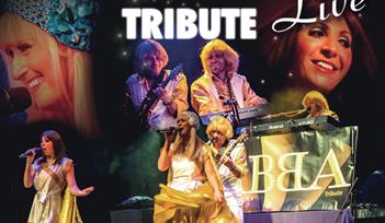 Abba Tribute... Take A Chance On Us