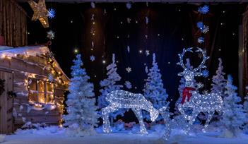 Christmassey Sunday Lunch