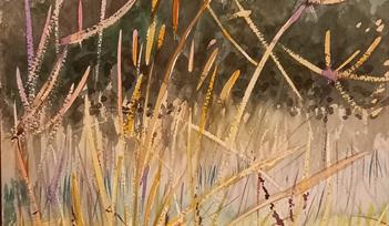 Meadow in September original watercolour by David Mowat
