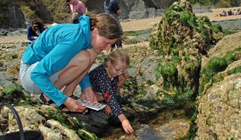 Spring tide rockpooling and Easter egg-case hunt