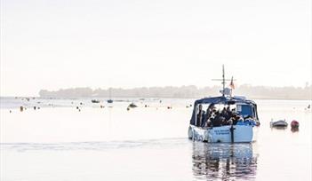 RSPB Winter Avocet Cruises, Exe Estuary (2019/2020)