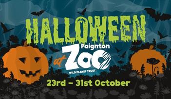 Halloween at Paignton Zoo