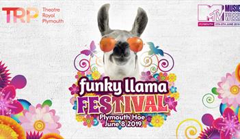 Funky Llama Festival