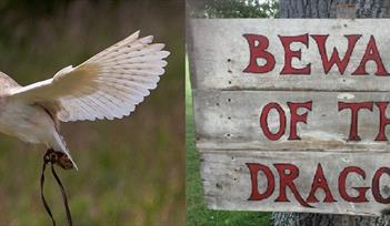 Feather and Fairytale Day