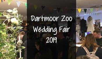 Dartmoor Zoo Wedding Fair 2019