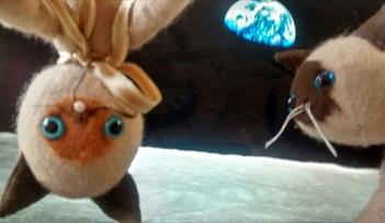 SPACE CATS