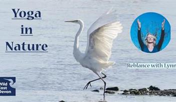 Yoga at Seaton Wetlands