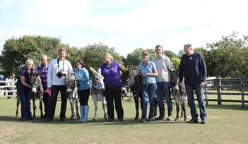 Group enjoy All Things Donkey experience