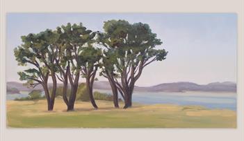 Trees Near Elberry Cove