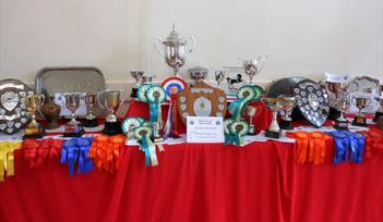 Ashburton and District Gardening Association  Annual Spring Show