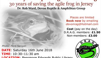 Agile frog talk flyer
