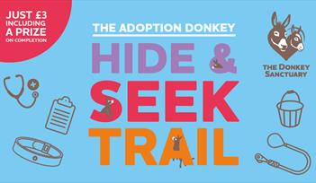 Can you find the items the loveable adoption donkeys have hidden around the sanctuary