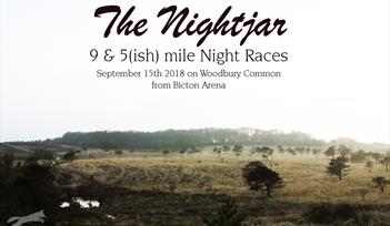 The NightJar 9 & 5 mile night race