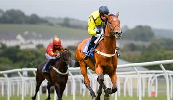 Newton Abbot Racecourse