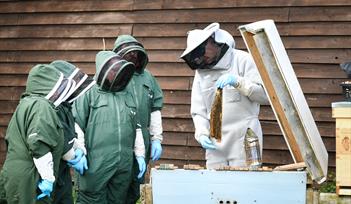 One Day Beginners Beekeeping Course