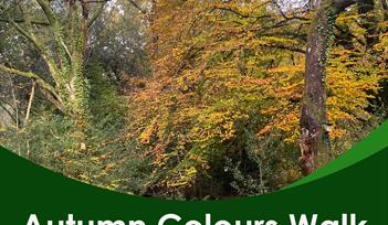 Autumn Colours Walk