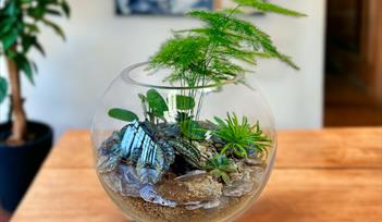 Glass Terrarium Workshop | House of Marbles