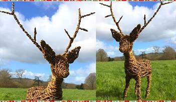 Willow Reindeer Weaving Workshop