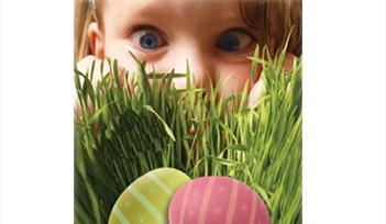 Babbacombe Model Village Easter Egg Hunt