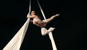 Circus Berlin