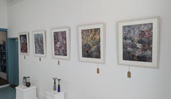 Exhibition Image