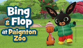 Bing & Flop