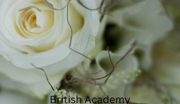 https://www.academyoffloralart.com/fun-flower-workshop-regal-elegance-sales