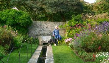 A woman walking through the formal gardens at Coleton Fishacre. The image is framed by blooming flowers beds, and a structured stream carves through t