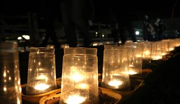 Enjoy carols by candlelight at The Donkey Sanctuary