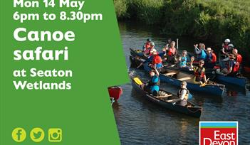 Canoe safari