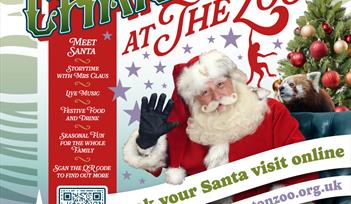 Christmas at the Zoo