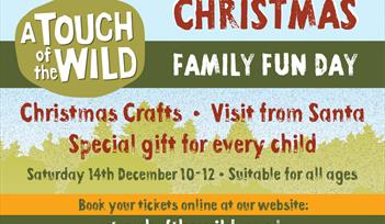 Christmas Family Fun Day