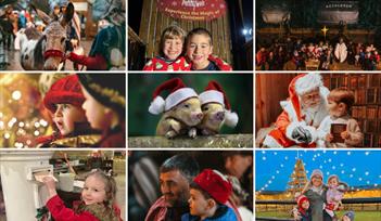 Magical Christmas Experience at Pennywell Farm!