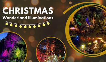 Christmas Wonderland Illuminations, Babbacombe Model Village