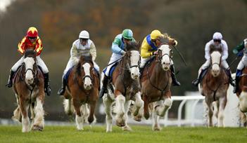 Devon Day at Exeter Racecourse