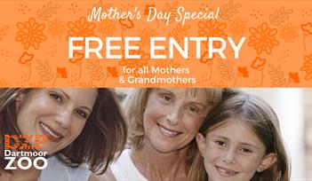Free Entry for All Mothers