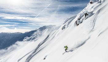 skier